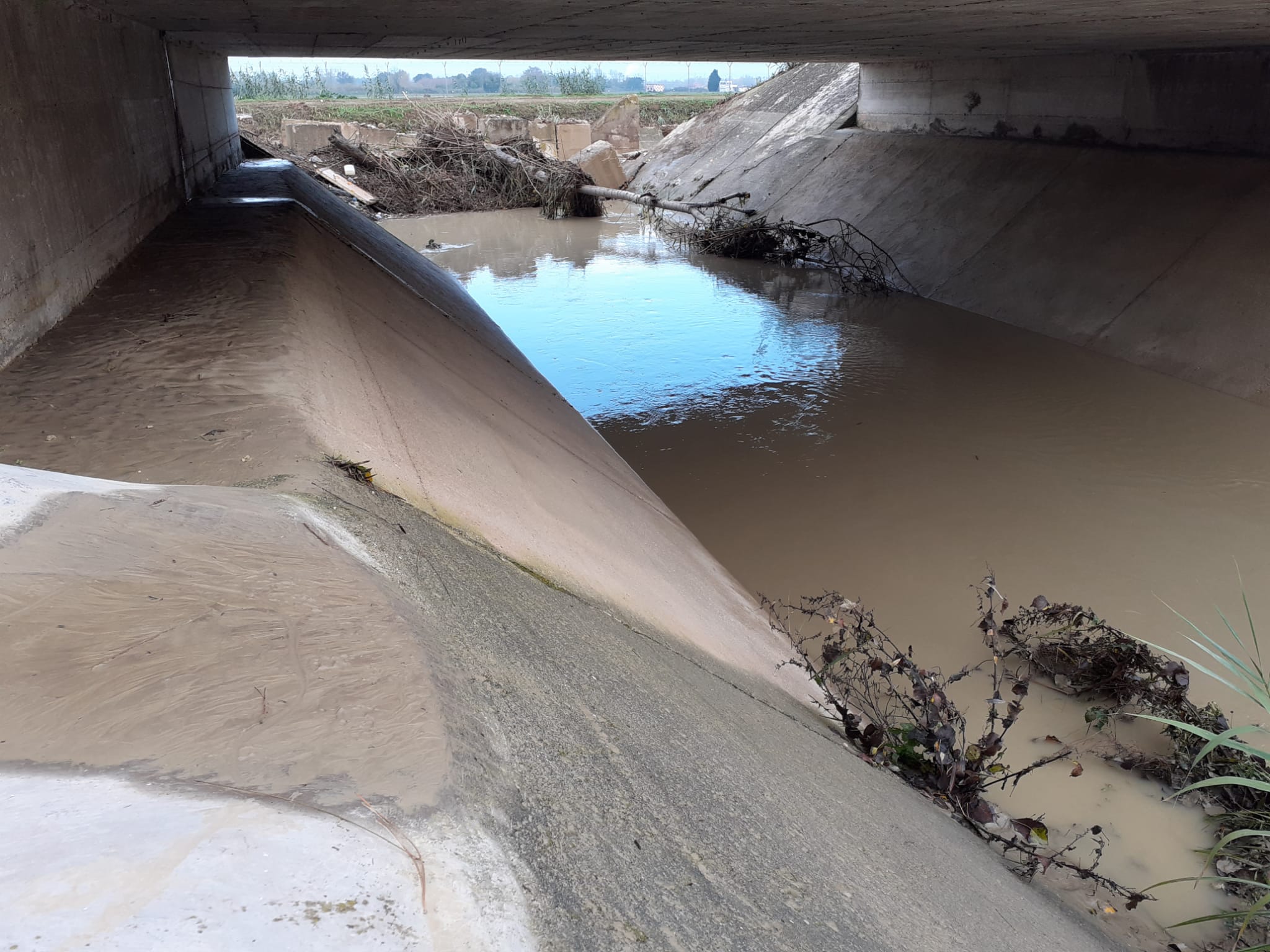 foto-3-fosso-s-sebastiano-sedimenti-di-terra-sopra-largine-sotto-ponte-ferrovia-2021-11-17-08-33-14.jpg