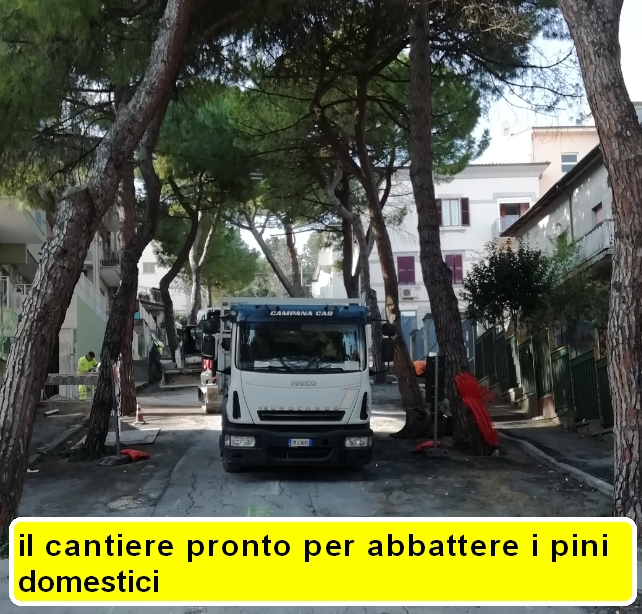 cantiere.jpg